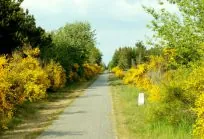 frederiks alhedens borgerforening