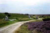 frederiks alhedens borgerforening