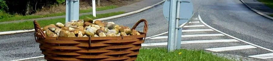 frederiks alhedens borgerforening 